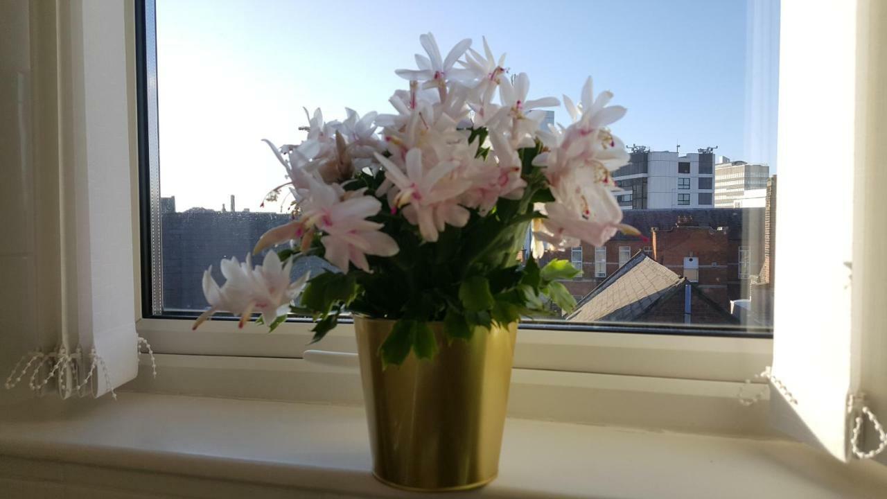 Queens Quarter Holiday Homes (Adults Only) Belfast Exteriér fotografie